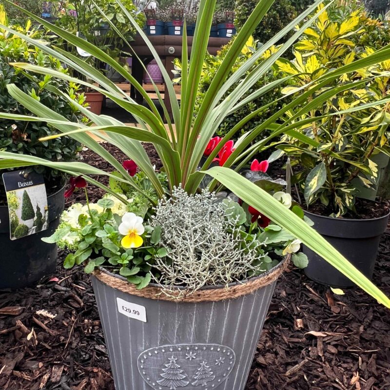 Christmas Planter gray 12in
