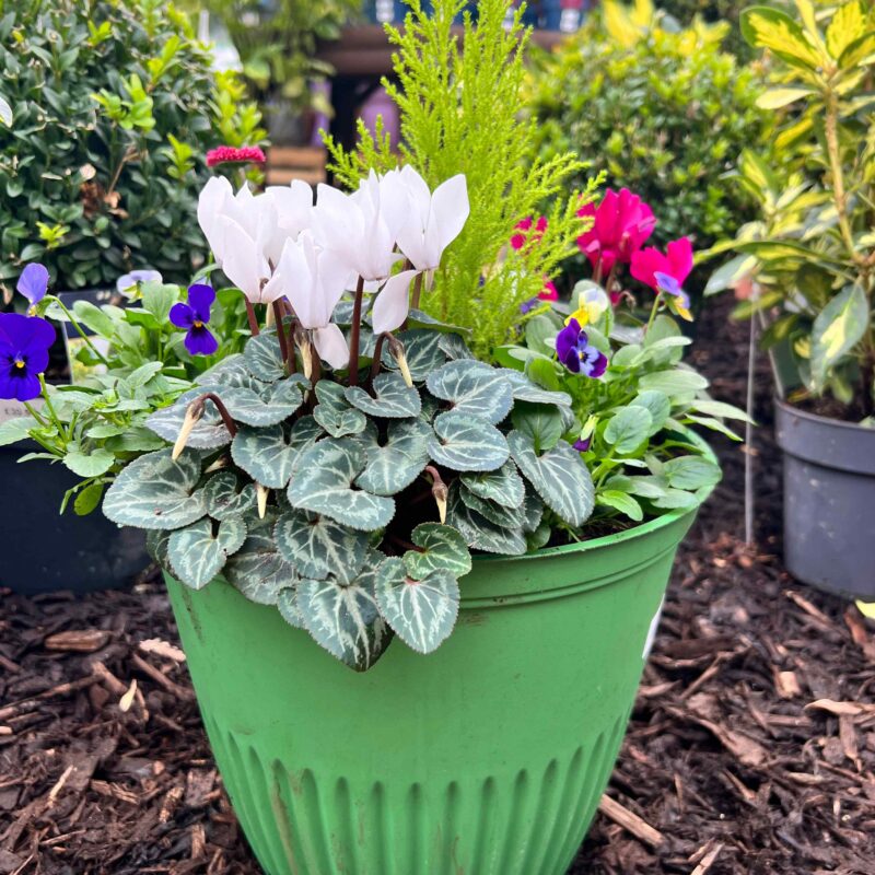 spring Planter Green 12in