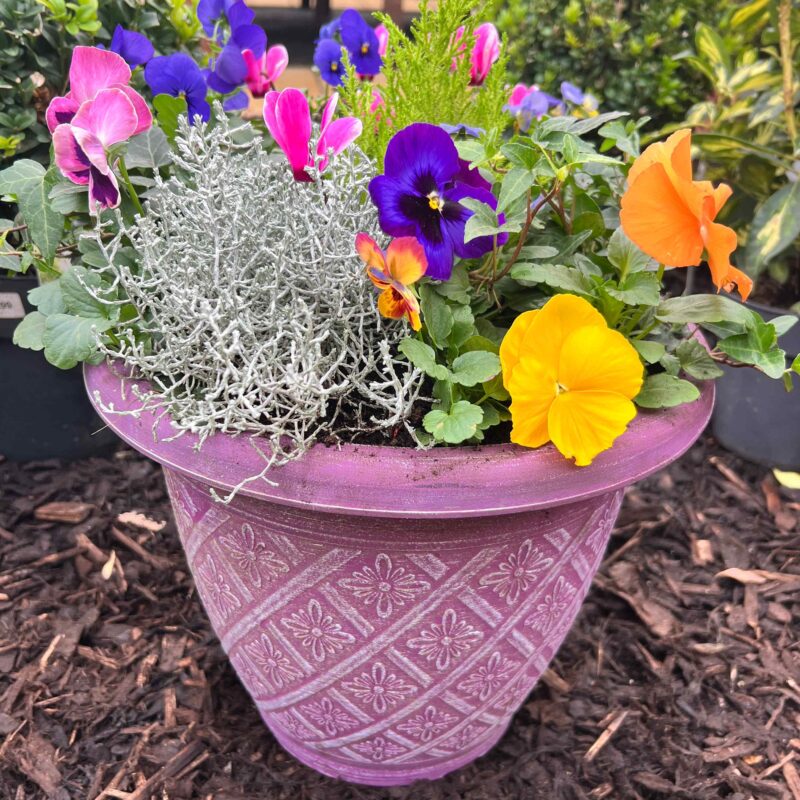 Planter Purple 12in