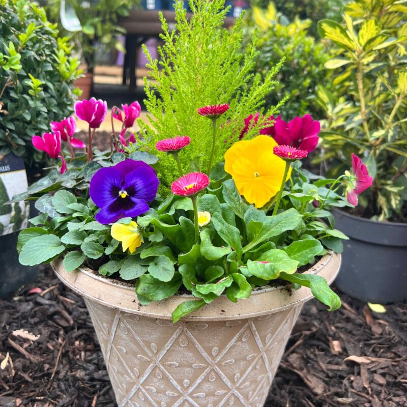 Winter Planter Natural 12in