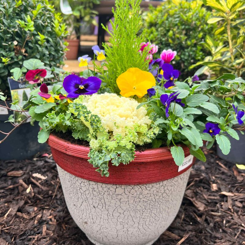 Red Crackle Planter 12in