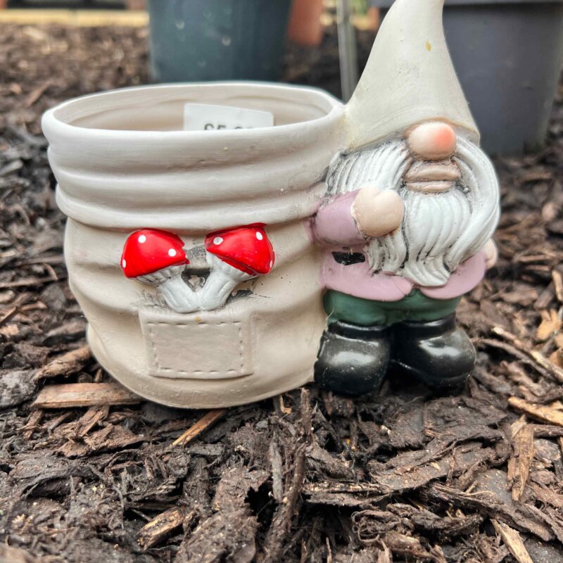 Gnome Planter 10cm