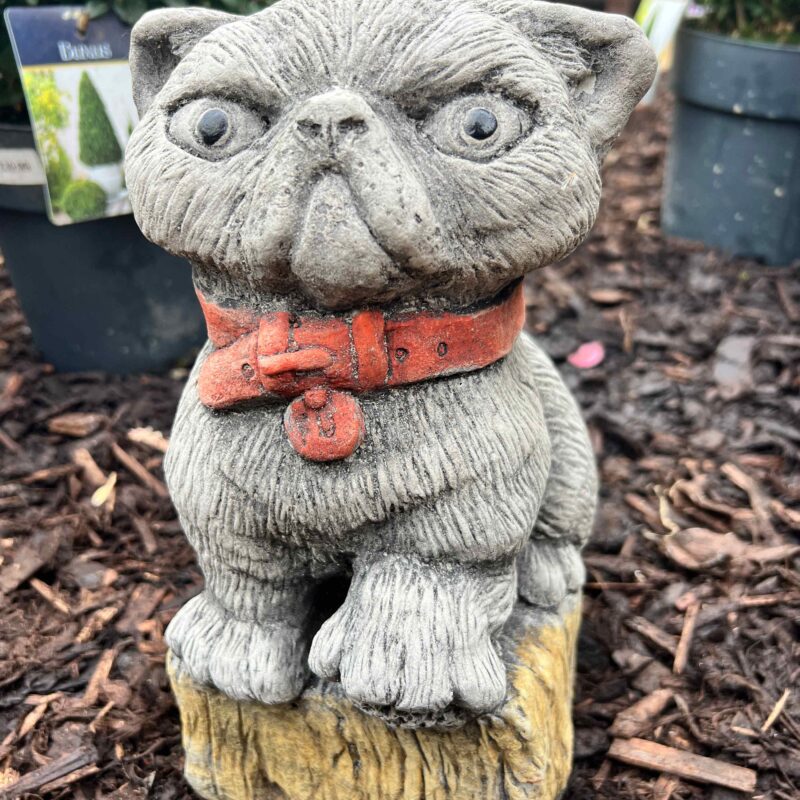 Cat Red Collar Stone Ornament