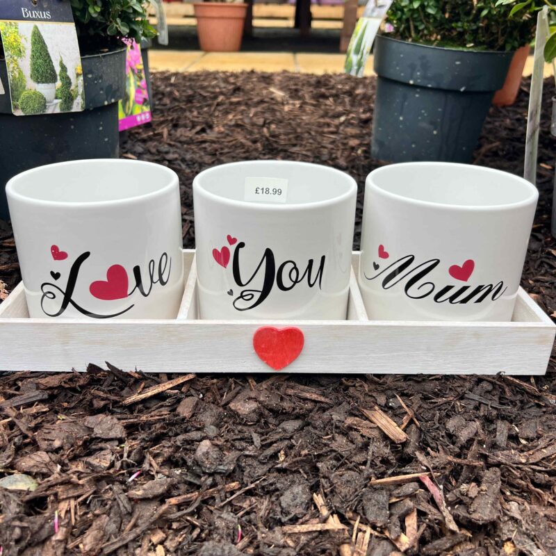 I Love You Mum Planter Set