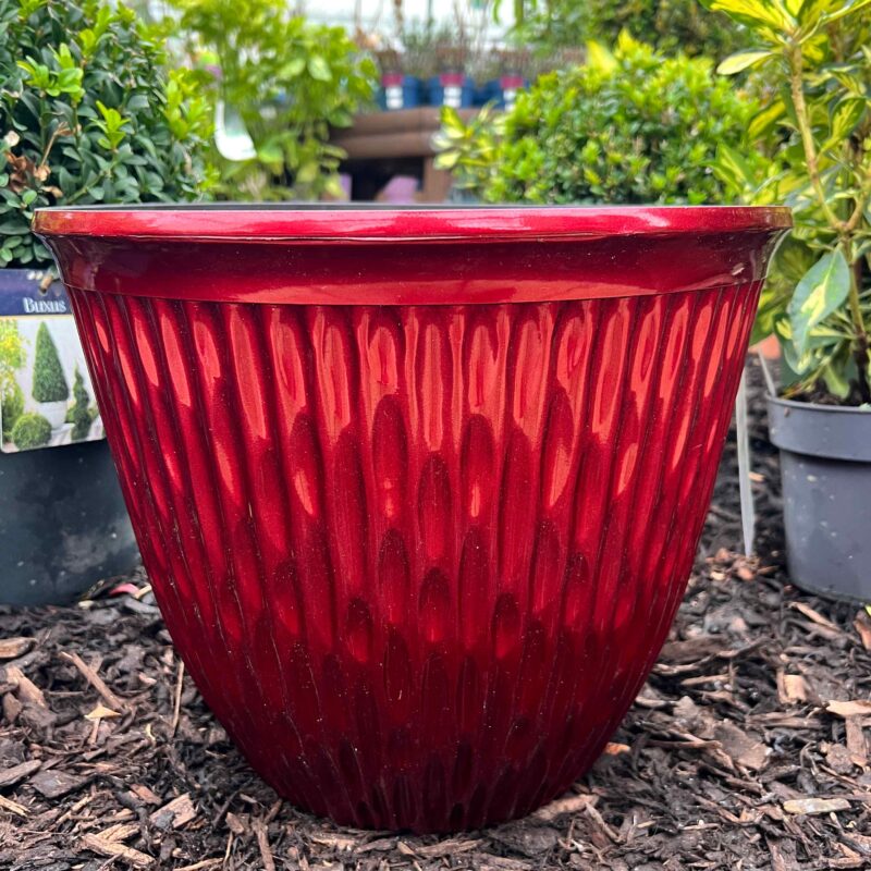 Chistmas Planter 15in