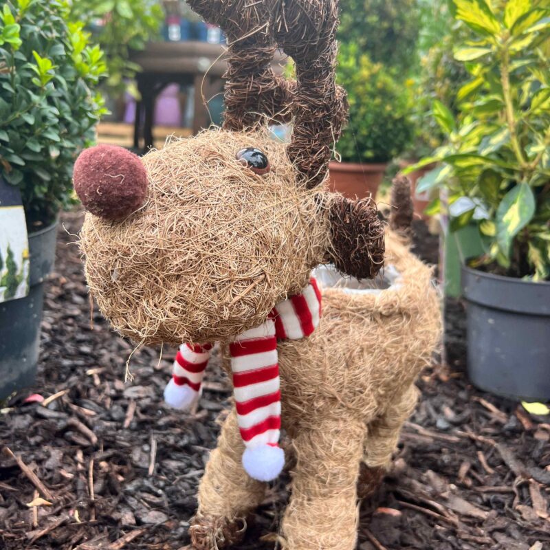 Christmas Moose Planter (empty)