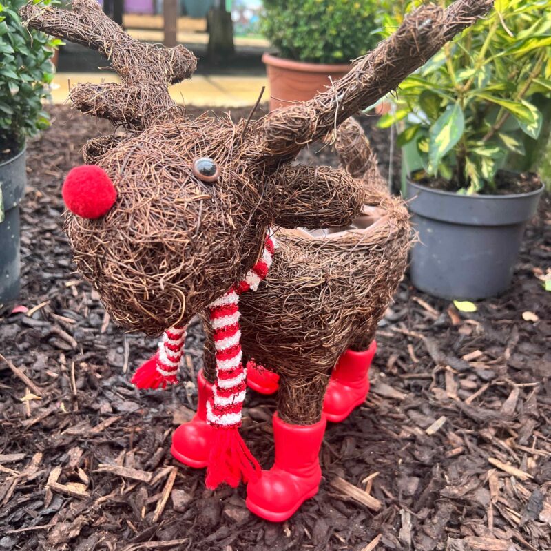 Reindeer Planter 45cm