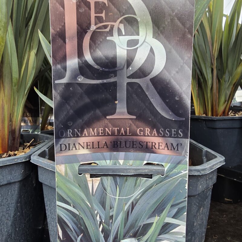 Dianella BlueStream 2ltr