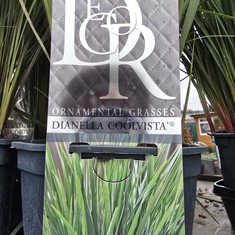 Dianella Coolvista 2ltr