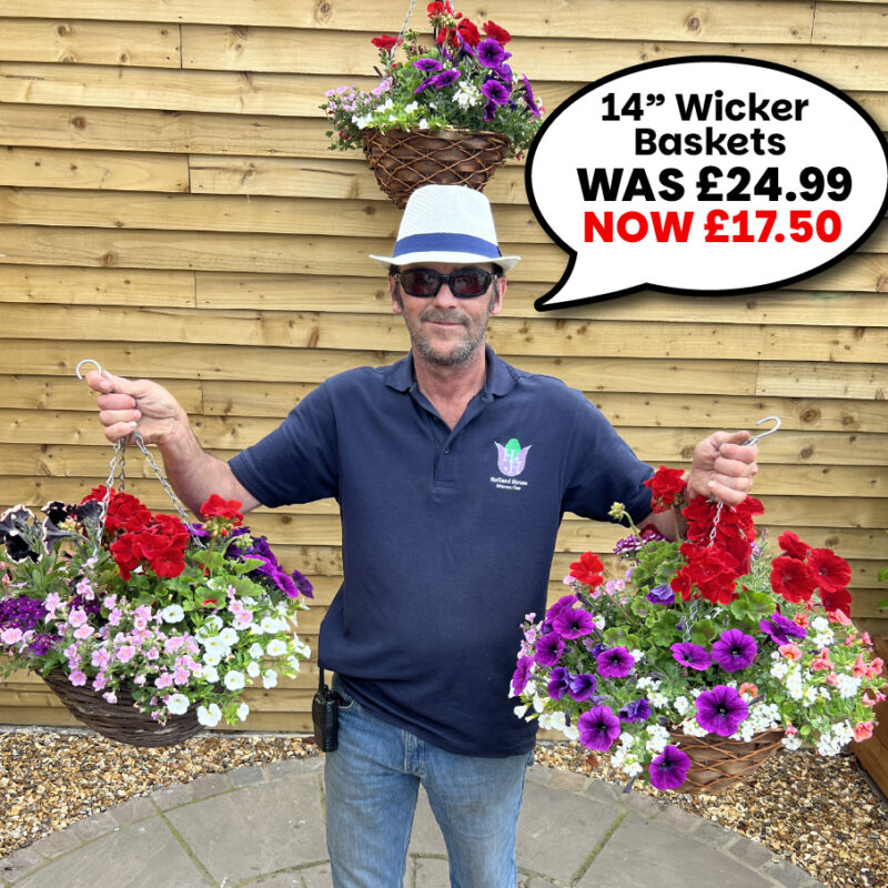 14" Wicker Hanging Baskets