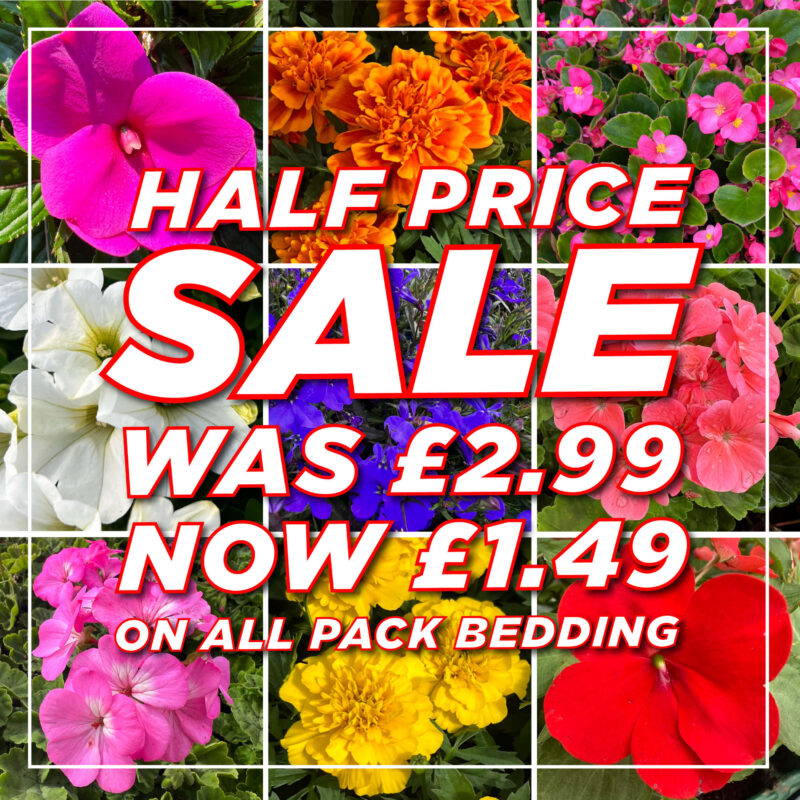Summer Bedding Sale